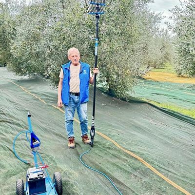 Video: S agronomom Ediem Družetićem u berbi maslina.