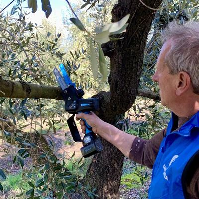 Video: Rezidba maslina u masliniku Agroprodukta u Barbarigi